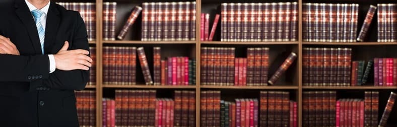 Legal Support Background